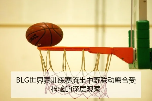 BLG世界赛训练赛流出中野联动磨合受检验的深层观察 - ayx
